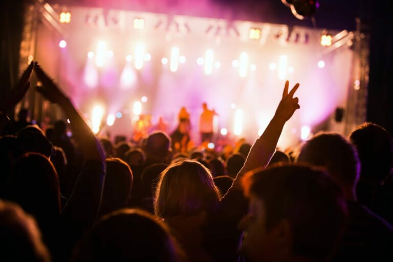 Foule dans la fosse pour un concert